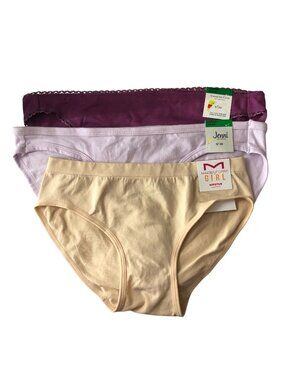 Jenni Charter Club Maidenform Bikini Brief Panties 3 Pair Purple Beige L